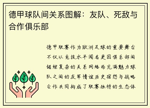 德甲球队间关系图解：友队、死敌与合作俱乐部